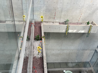 Planta Libre Centro de Concepción — Edificio Internacional
