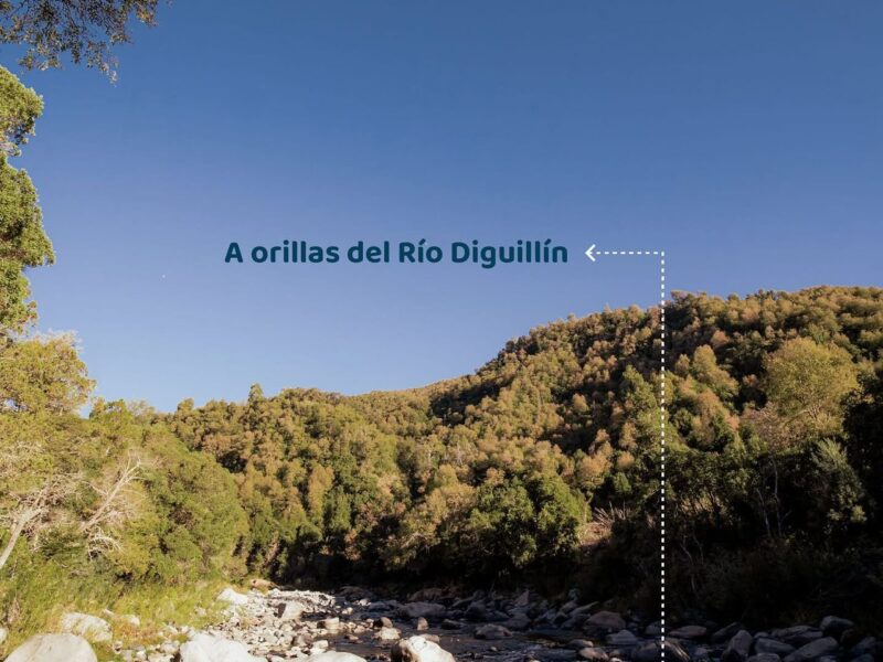 Terreno 14 hectáreas en Los Lleuques — frente al Río Diguillín, ideal eco-turismo