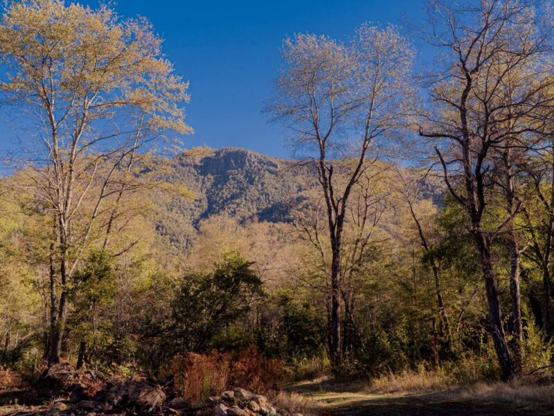 Terreno 14 hectáreas en Los Lleuques — frente al Río Diguillín, ideal eco-turismo