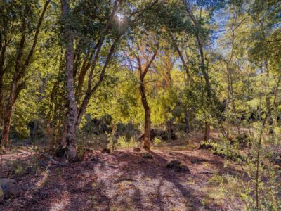 Terreno 14 hectáreas en Los Lleuques — frente al Río Diguillín, ideal eco-turismo