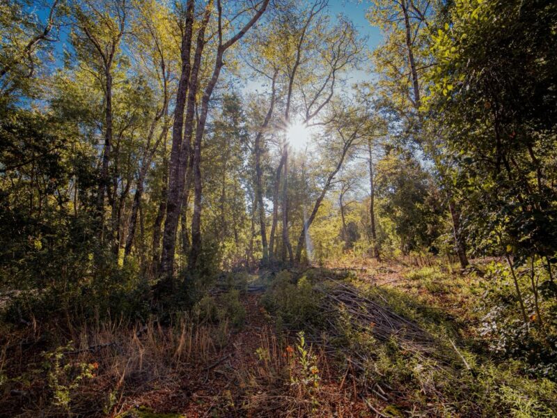 Terreno 14 hectáreas en Los Lleuques — frente al Río Diguillín, ideal eco-turismo